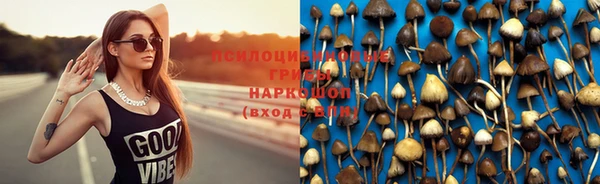 твердый Мурманск